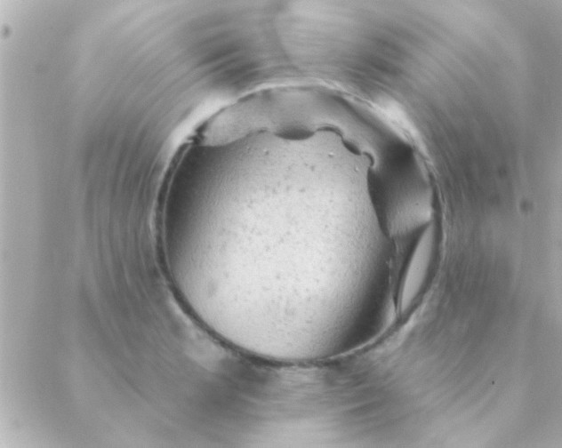 X0000088651181200706152000