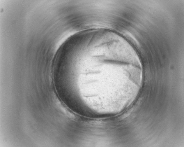 X0000088651182200706152000