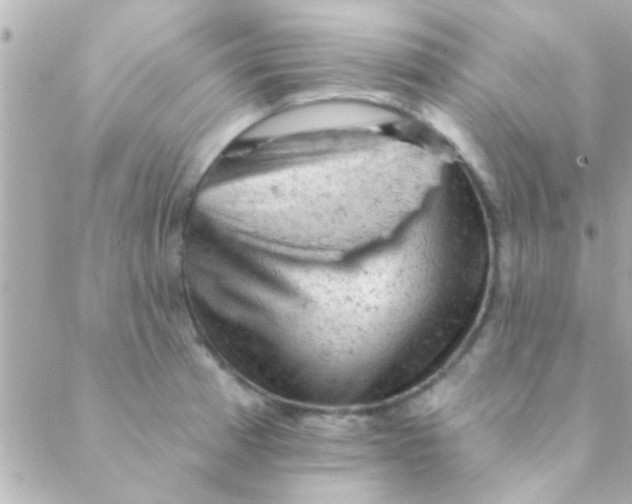 X0000088651185200706152000