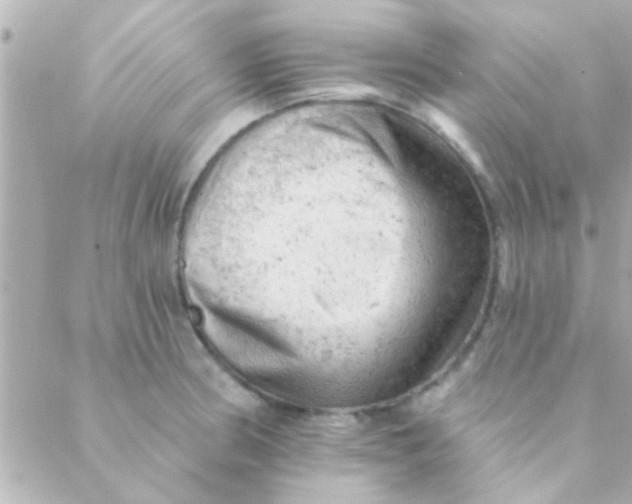 X0000088651186200706152000