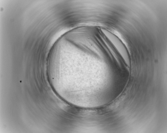 X0000088651187200706152000