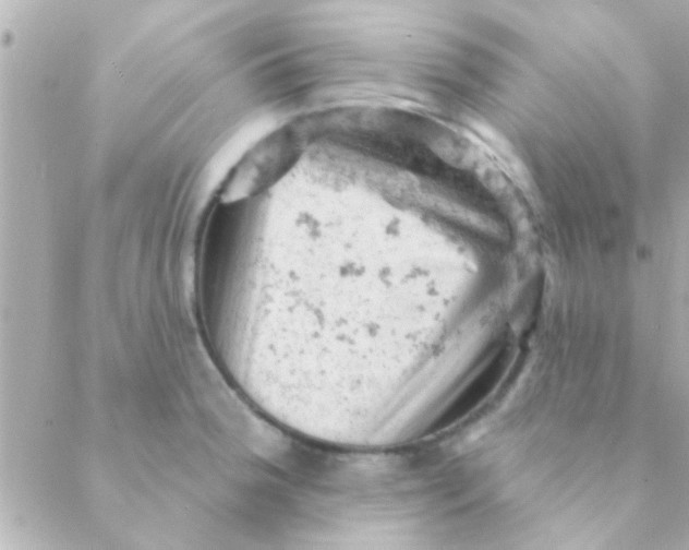 X0000088651188200706152000