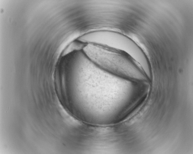 X0000088651189200706152000