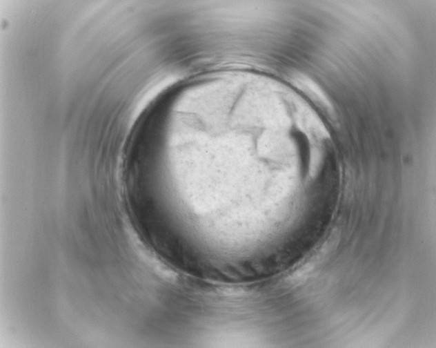 X0000088651190200706152000