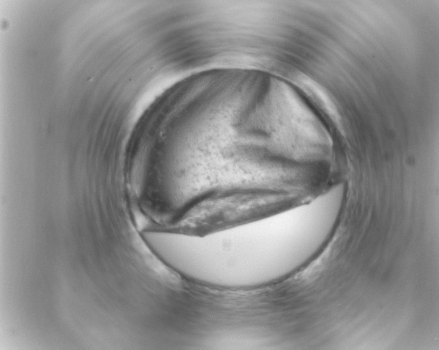 X0000088651192200706152000