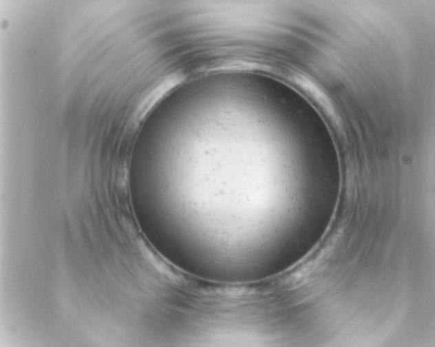 X0000088651193200706152000