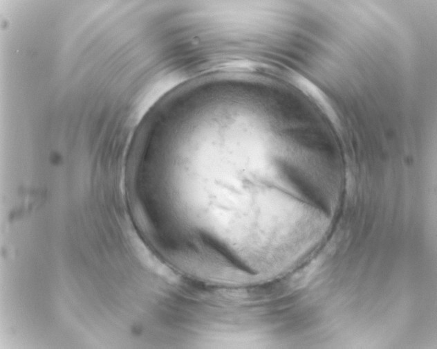 X0000088651194200706152000