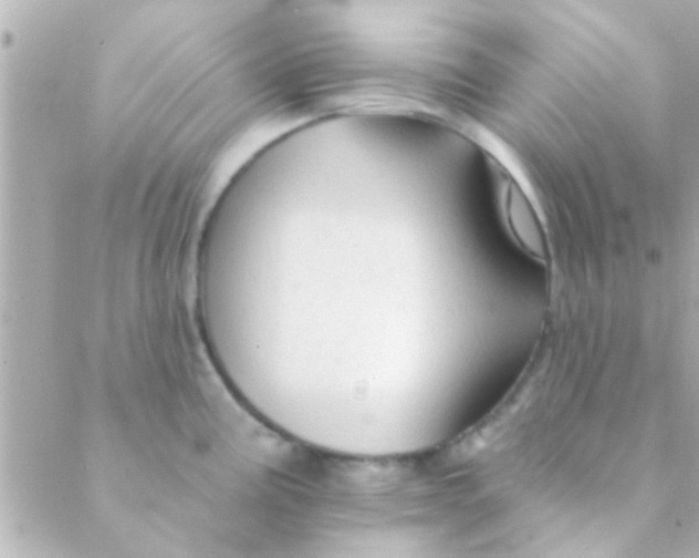 X0000088651195200706152000