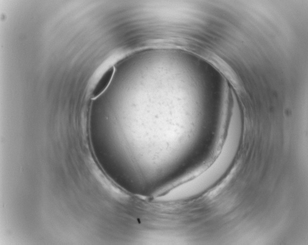 X0000088651196200706151959