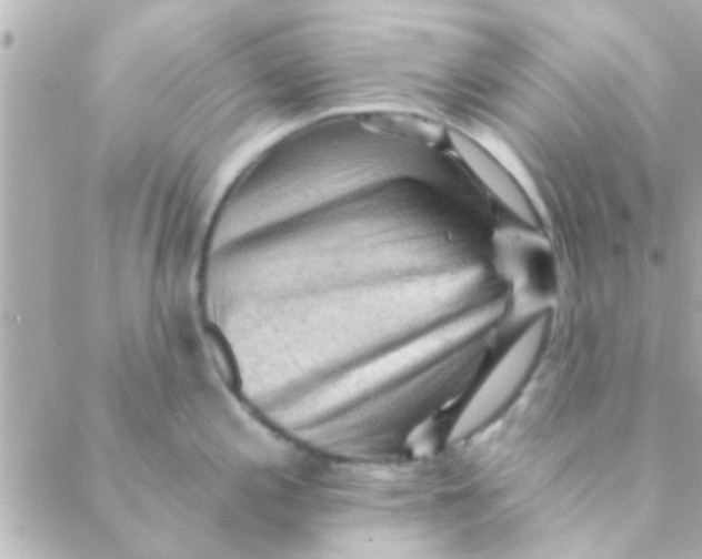 X0000088651197200706151959