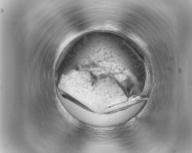 X0000088651200200706151959