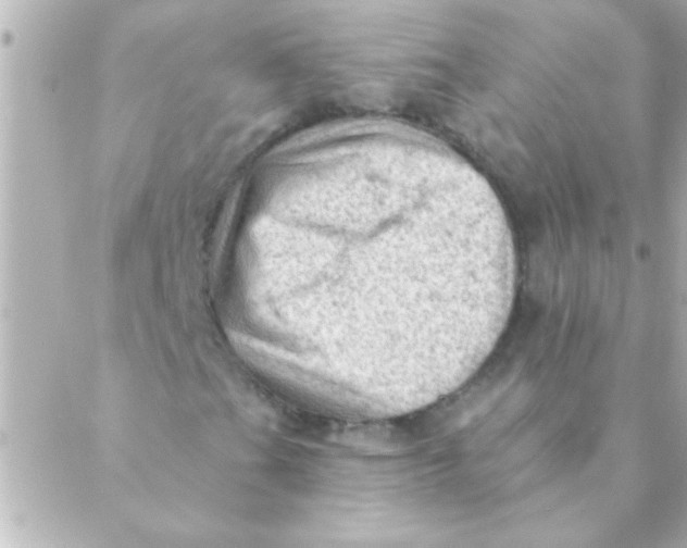 X0000088651201200706151959