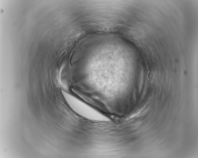 X0000088651202200706151959