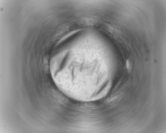 X0000088651203200706151959