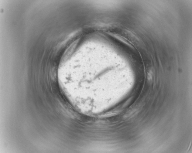 X0000088651204200706151959