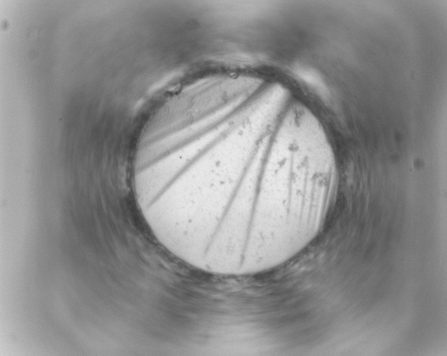 X0000088651205200706151959