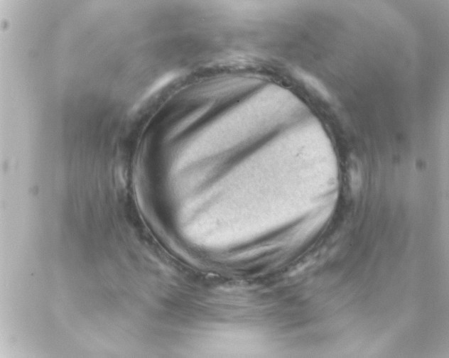 X0000088651206200706151959