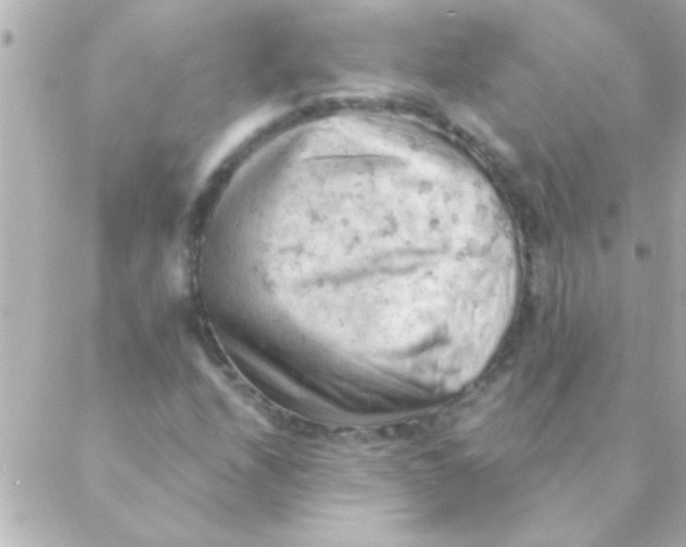 X0000088651208200706151959