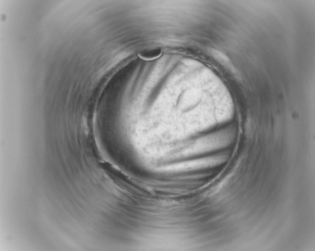 X0000088651209200706151959