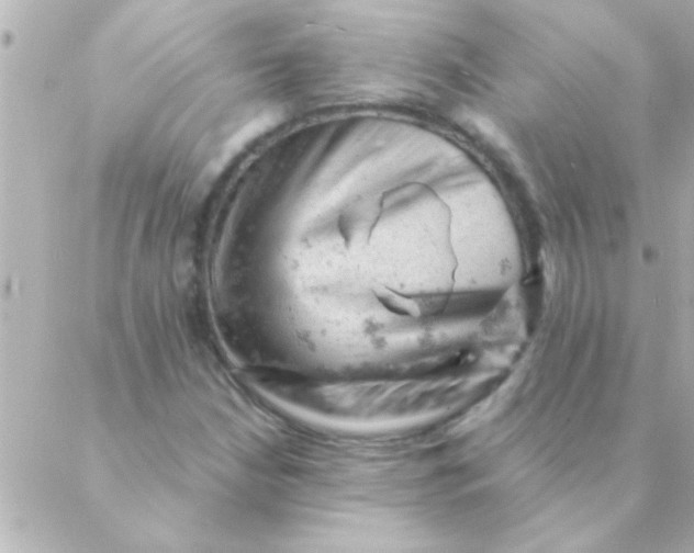 X0000088651210200706151959