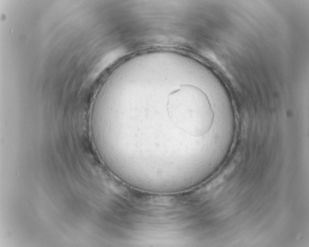 X0000088651211200706151959