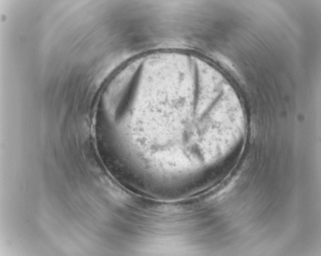 X0000088651212200706151959