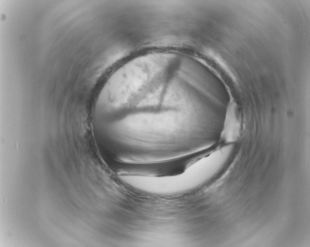 X0000088651213200706151959