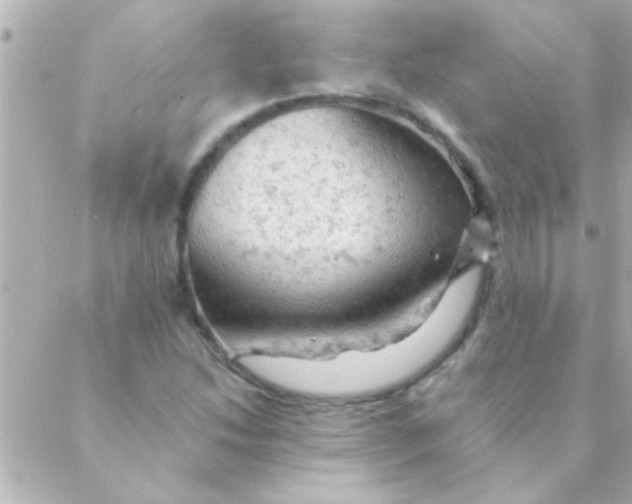 X0000088651214200706151959