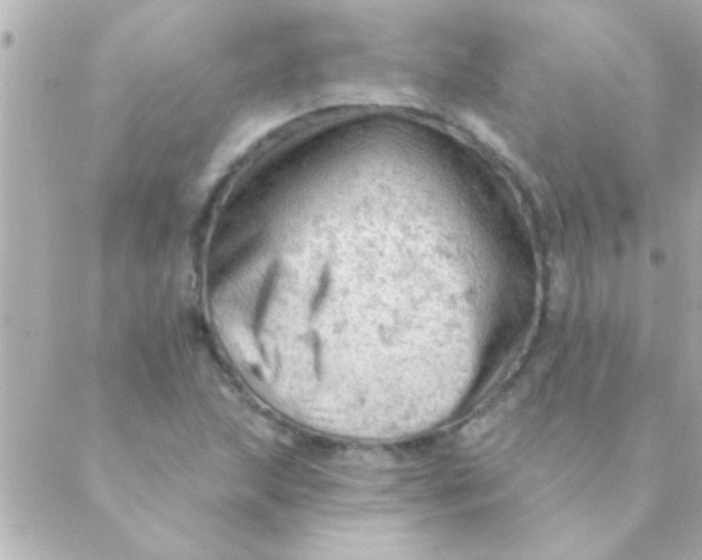 X0000088651215200706151959