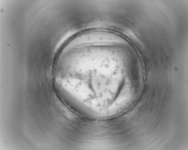 X0000088651216200706151959