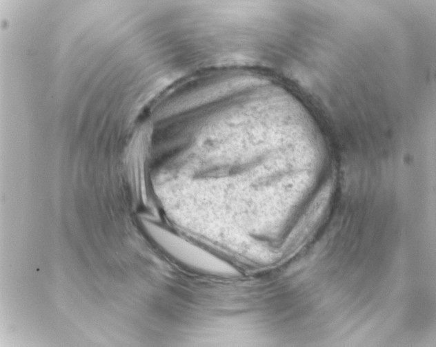 X0000088651217200706151959