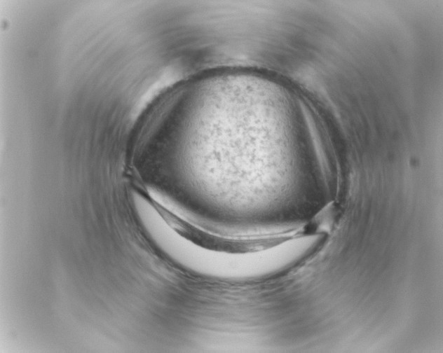 X0000088651218200706151959