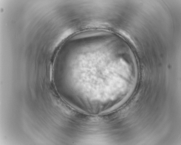 X0000088651219200706151959