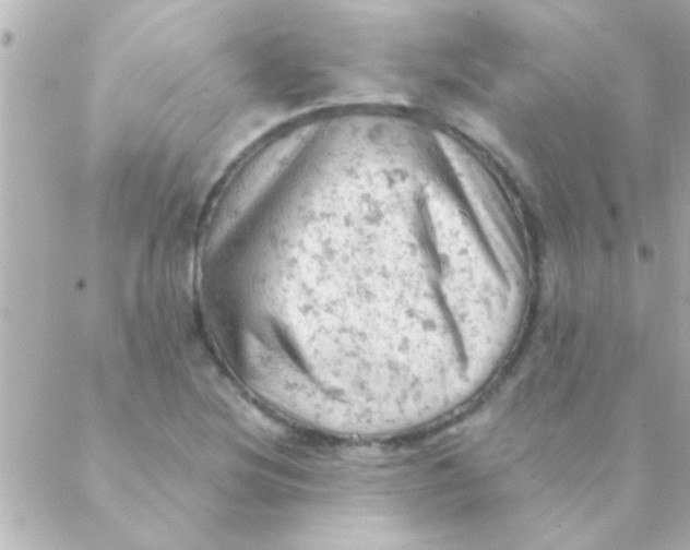 X0000088651220200706151959