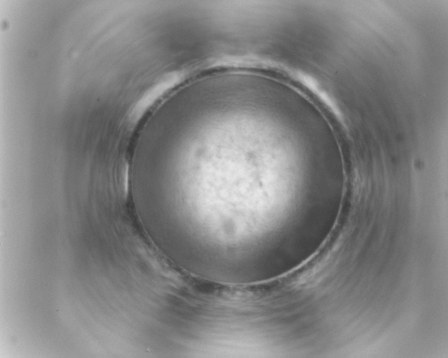 X0000088651221200706151959