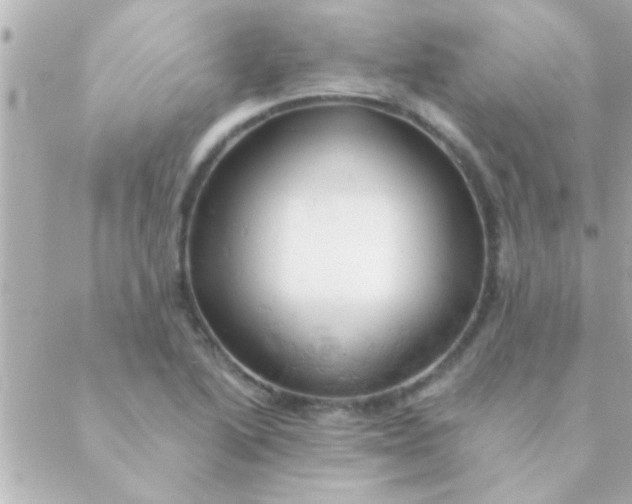 X0000088651222200706151959