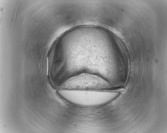 X0000088651223200706151959