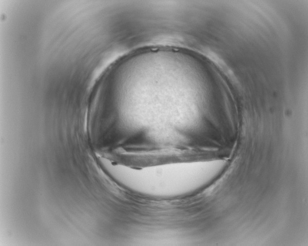 X0000088651224200706151959