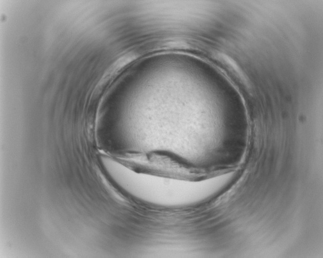 X0000088651225200706151959