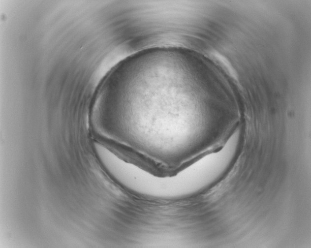 X0000088651226200706151959