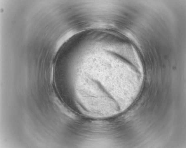 X0000088651227200706151959