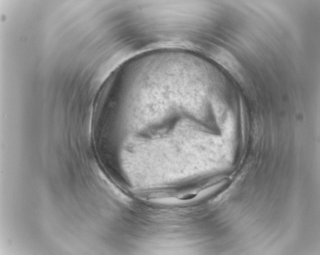 X0000088651228200706151959