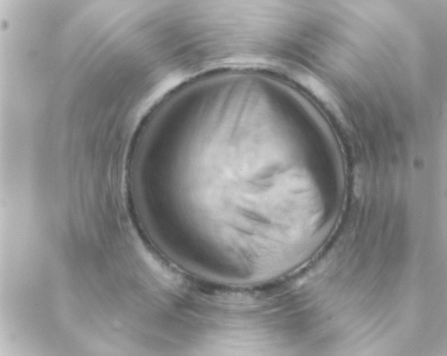 X0000088651229200706151959