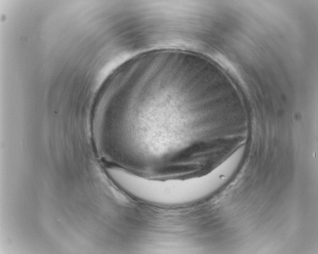 X0000088651230200706151959