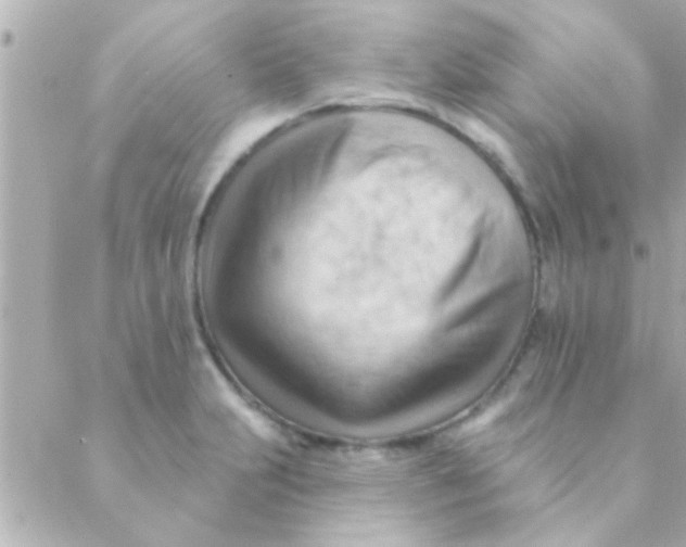 X0000088651231200706151959