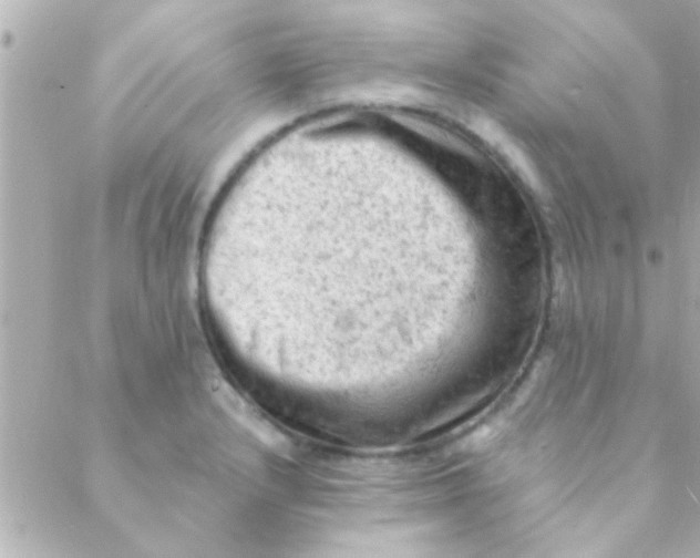 X0000088651232200706151959