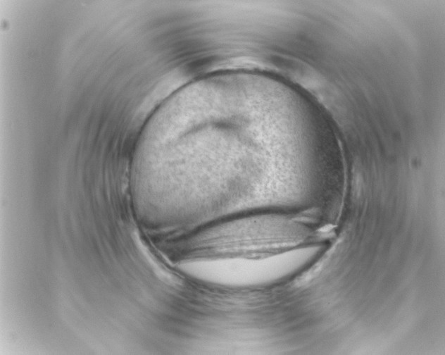 X0000088651233200706151959