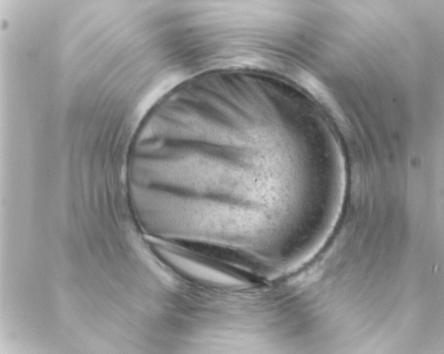 X0000088651234200706151959