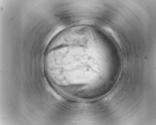 X0000088651235200706151959