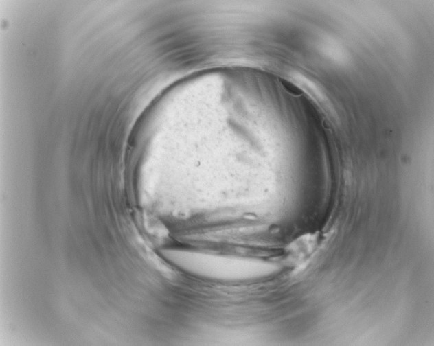 X0000088651236200706151959